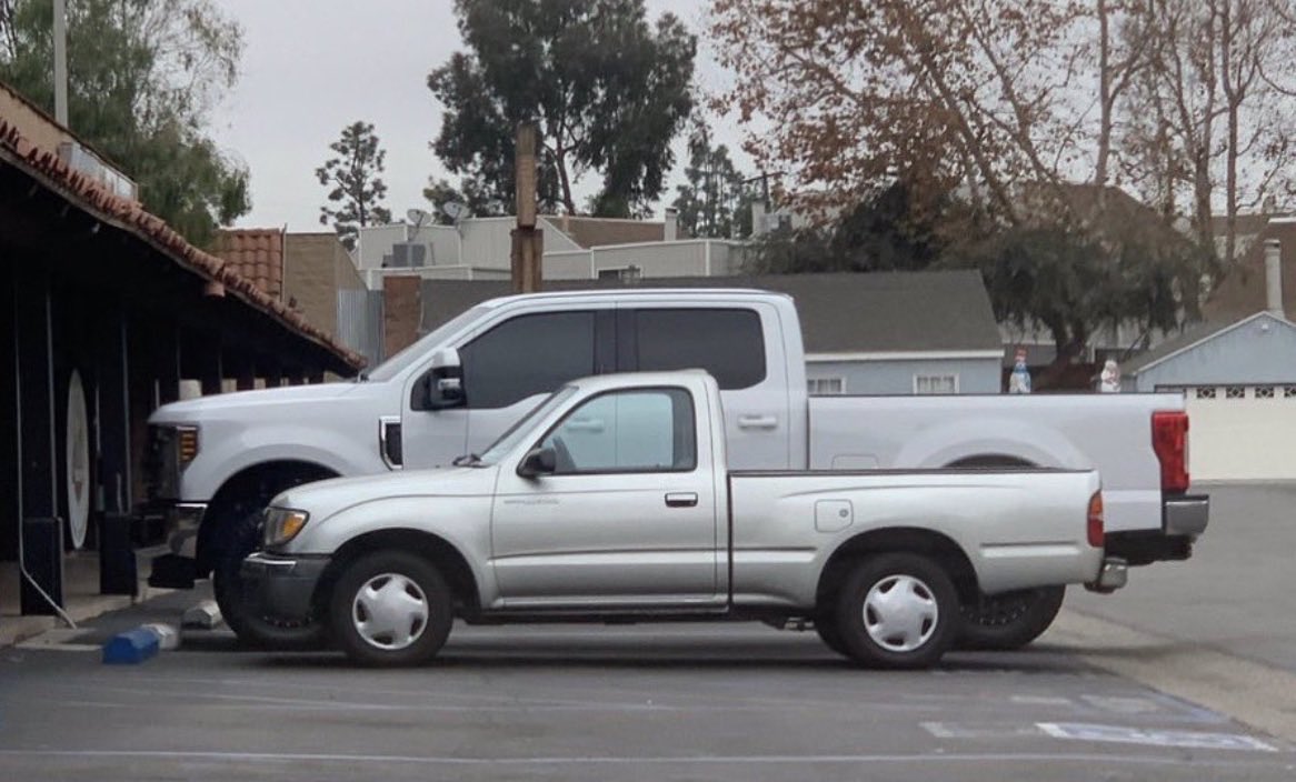 Robert Angelo tweet media