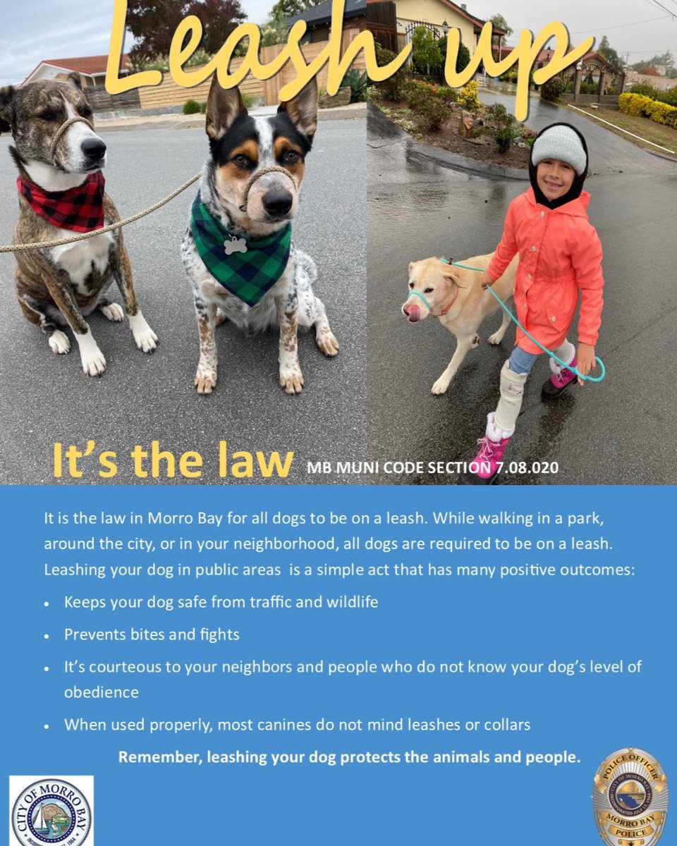 Morro Bay Police tweet media