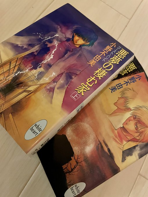 子供の頃に読んでめちゃくちゃ怖かったホラー小説を久々に読んでみたんだけど、あれ…そんな怖ないな…大人になったからかな…て少し寂しい気持ちになった。子供の頃はこれ読んでから暫くカーテンの隙間が怖くて堪らなくなったりしてたのに 