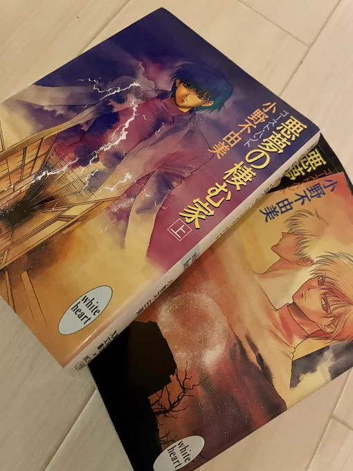 子供の頃に読んでめちゃくちゃ怖かったホラー小説を久々に読んでみたんだけど、あれ…そんな怖ないな…大人になったからかな…て少し寂しい気持ちになった。子供の頃はこれ読んでから暫くカーテンの隙間が怖くて堪らなくなったりしてたのに 