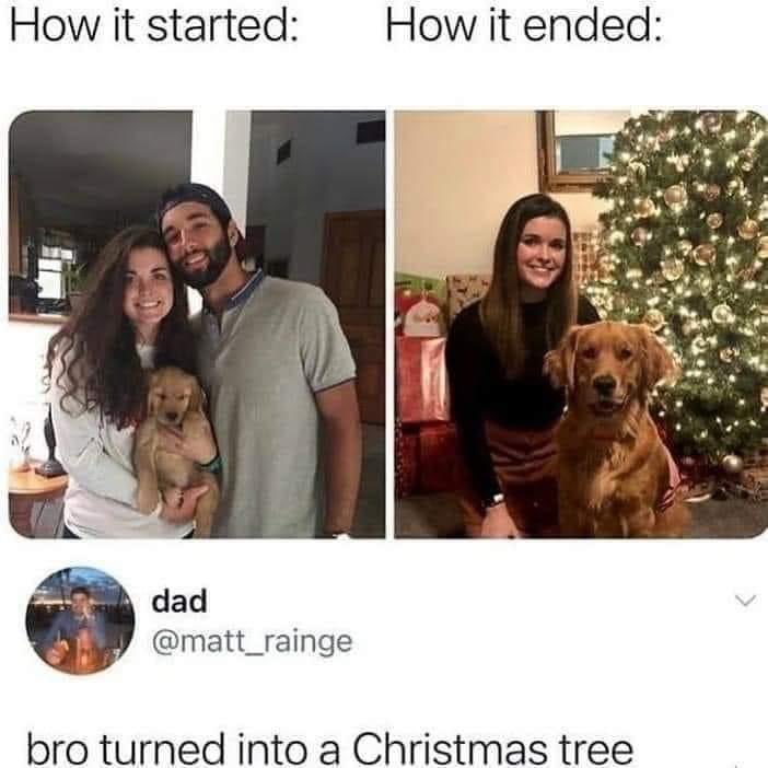 Jackjonestv tweet media