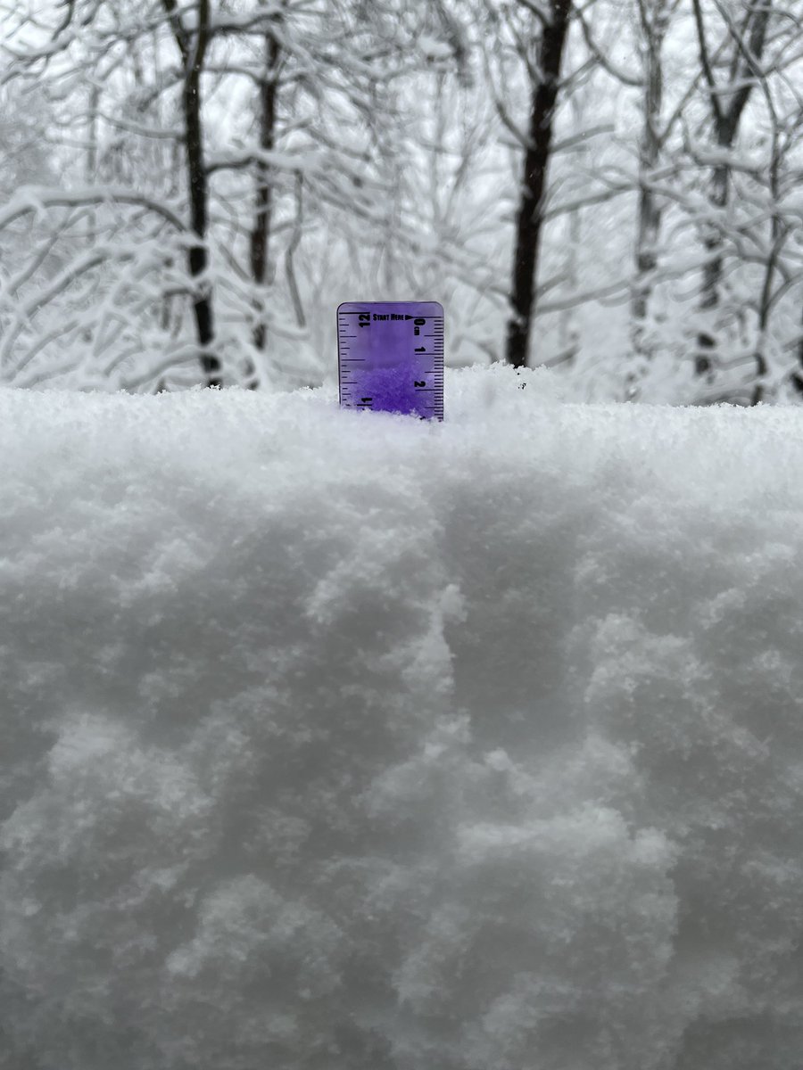 Closing in on 11 inches in Kingstowne/Franconia area of Alexandria <a href="/capitalweather/">Capital Weather Gang</a> <a href="/MatthewCappucci/">Matthew Cappucci</a>