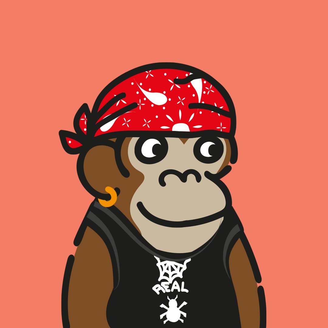 doodleapes's tweet photo. @NftRated keep it real! smile fam, be happy. https://t.co/krIaDk50xt