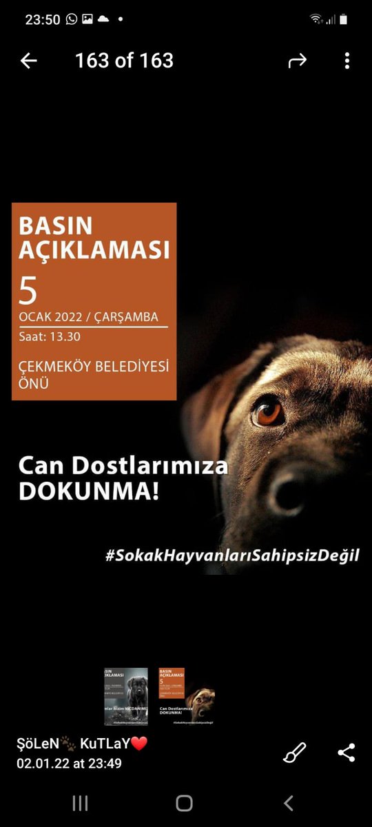 Hayvan Hakları Yasama İzleme Delegasyonu (@yasamaizleme) on Twitter photo 