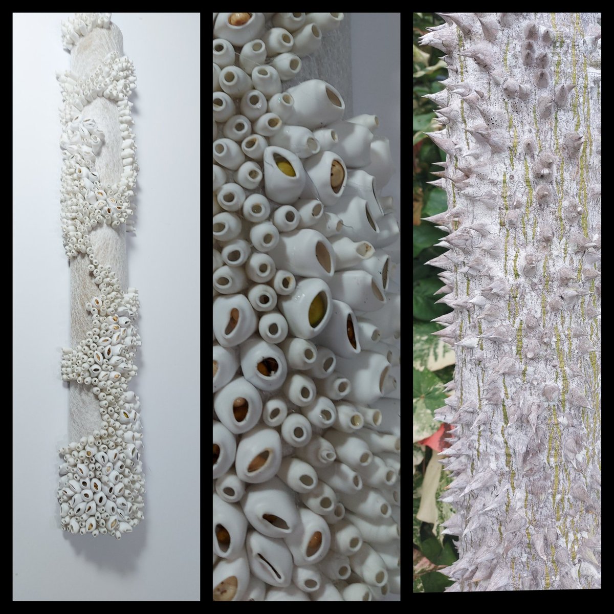 MarianJazmik's tweet photo. WIP. 'Stems and Stalks' textile textured art.
#textileartist #textileart #natute #macrophotography #fibrearts #embroidery #prismtextiles #societyforembroideredwork https://t.co/lXSmZq5KJq