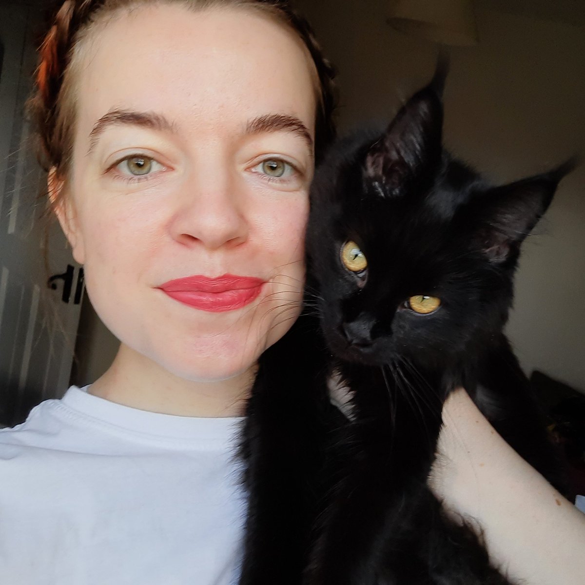 DeirdreQuaid's tweet photo. 1/2 Meet Fluffybutt a.k.a. Spooky Girl. She is a 7 month old Maine Coon angel and I love her very much❤🐈‍⬛
She was given to me after the passing of my cat Fish, who I lost suddenly in September, and Chups who was euthanised in July after battling FIP.
#CatsOfTwitter https://t.co/IMzZBGv3r4