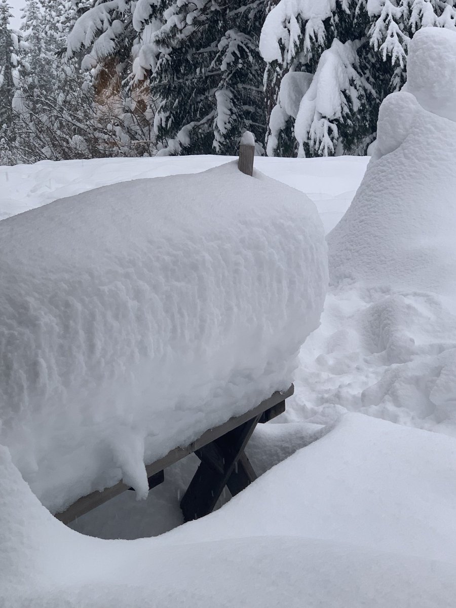 ConnieStarr's tweet photo. We’re going to need a longer snow stick. #Snomageddon https://t.co/W0ND7Aih4m