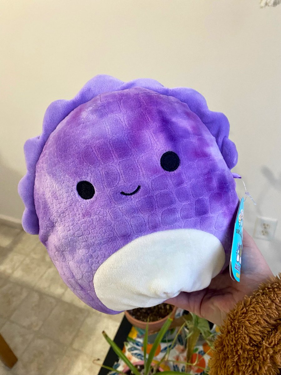 ttayyyloor's tweet photo. ✨squishmallow giveaway!!✨

to enter:
• retweet &amp; follow me 
• retweet &amp; like my pinned tweet 

for extra entries:
• tag pals below (up to 5) 

One lucky winner will receive an 8” Delilah the dinosaur, giveaway ends friday!! https://t.co/R3Cltxe2t0