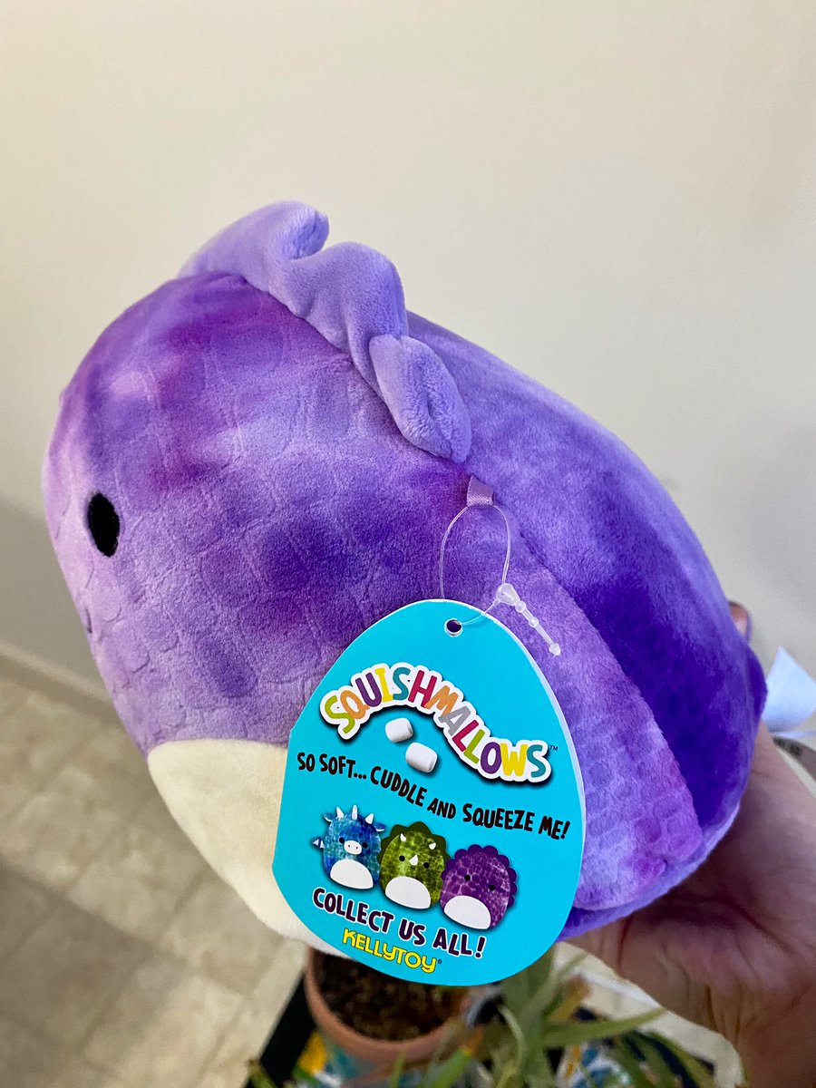 ttayyyloor's tweet photo. ✨squishmallow giveaway!!✨

to enter:
• retweet &amp; follow me 
• retweet &amp; like my pinned tweet 

for extra entries:
• tag pals below (up to 5) 

One lucky winner will receive an 8” Delilah the dinosaur, giveaway ends friday!! https://t.co/R3Cltxe2t0