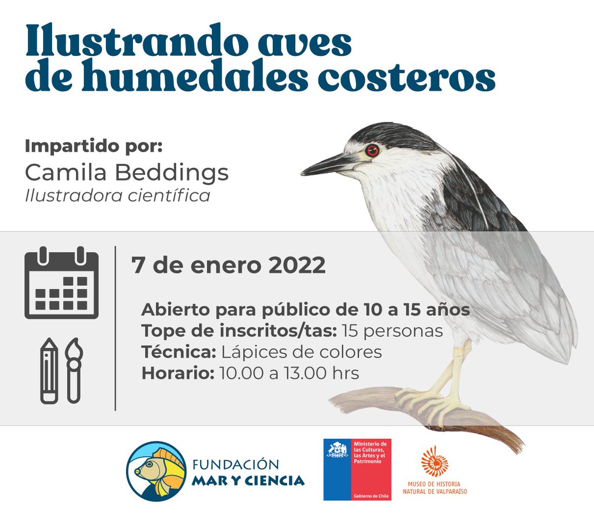 Este viernes 7 dictaremos curso gratuito "Ilustrando aves de humedales costeros". 👀Enseñaremos técnicas para dibujar con lápices texturas de piel, plumas y picos. 
📍Museo de Historia Natural Valparaíso  
✅De 10 a 15 años
❗️Tope 15 personas
Inscripciones forms.gle/7Kz8i5EgPxzw7c…