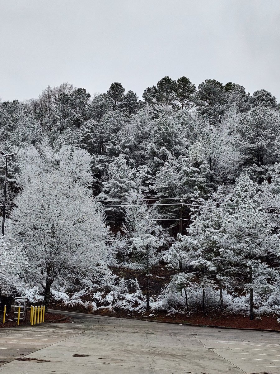 It doesn't get any more beautiful than this snow on the trees behind the Eastwood home Depot 0880