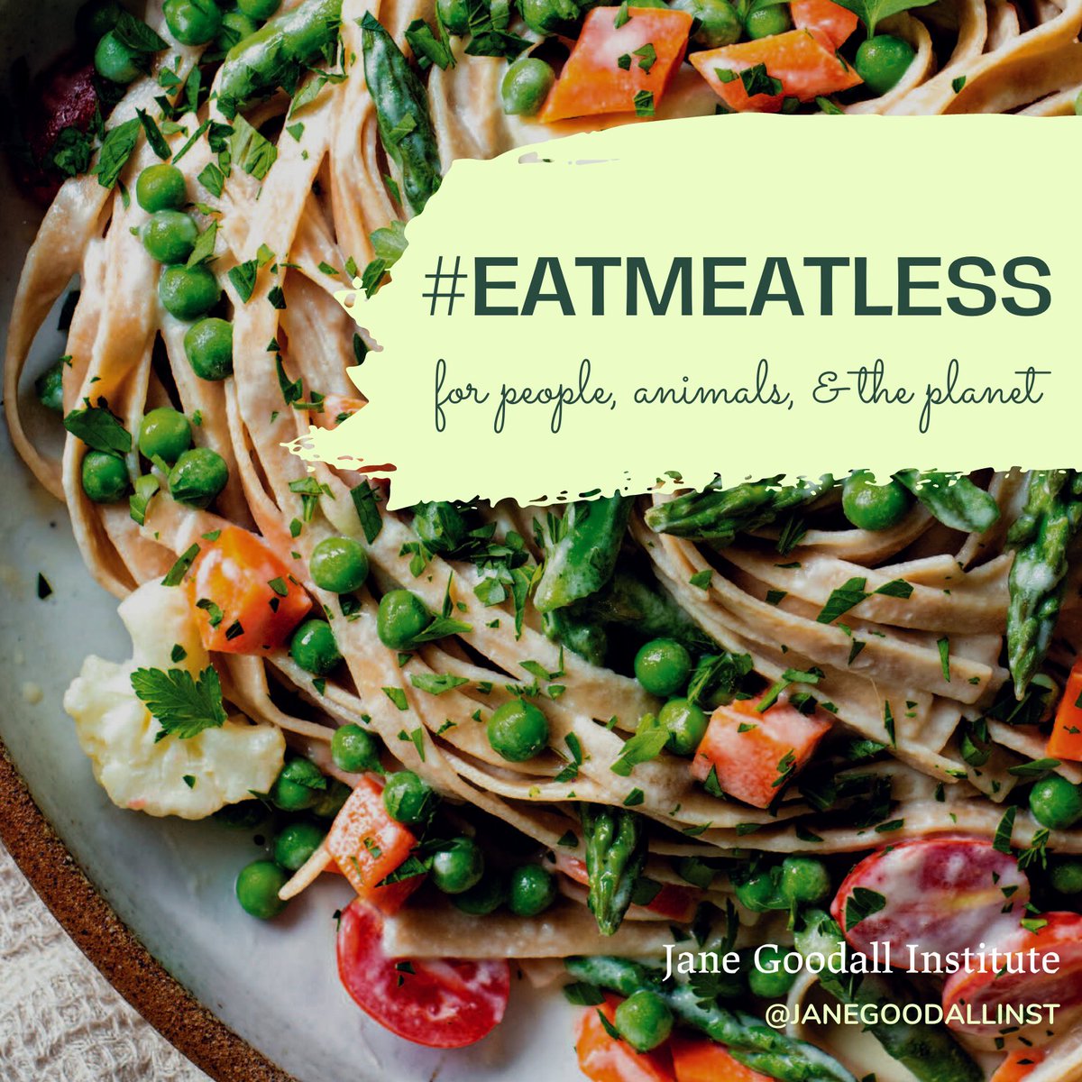JaneGoodallInst's tweet photo. It's #veganuary2022 ! Wherever you are in your journey/whatever access to #plantbased living, join us to #EATMEATLESS ! Consumer choices matter - make a difference for people, animals, &amp; planet ! Not sure how to start? Check our cookbook: https://t.co/vFTpyrd3pJ

@veganuary https://t.co/wLf4wlGzPy