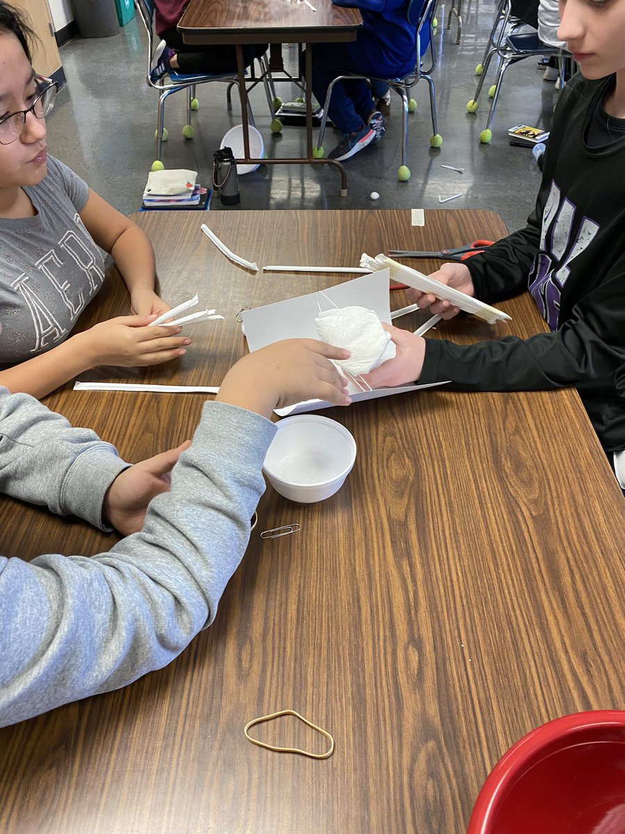DebraFaber6's tweet photo. Mission Egg Drop. Build the safest vessel #STEM https://t.co/EQHWcM8wuB