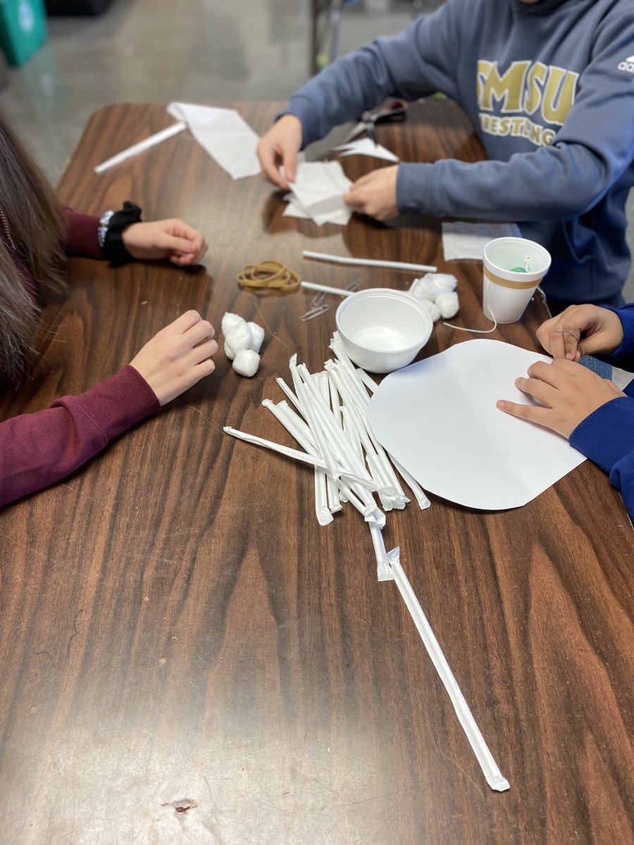 DebraFaber6's tweet photo. Mission Egg Drop. Build the safest vessel #STEM https://t.co/EQHWcM8wuB