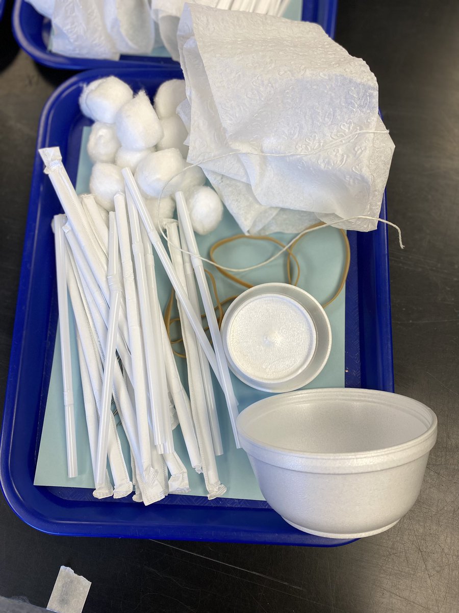 DebraFaber6's tweet photo. Mission Egg Drop. Build the safest vessel #STEM https://t.co/EQHWcM8wuB