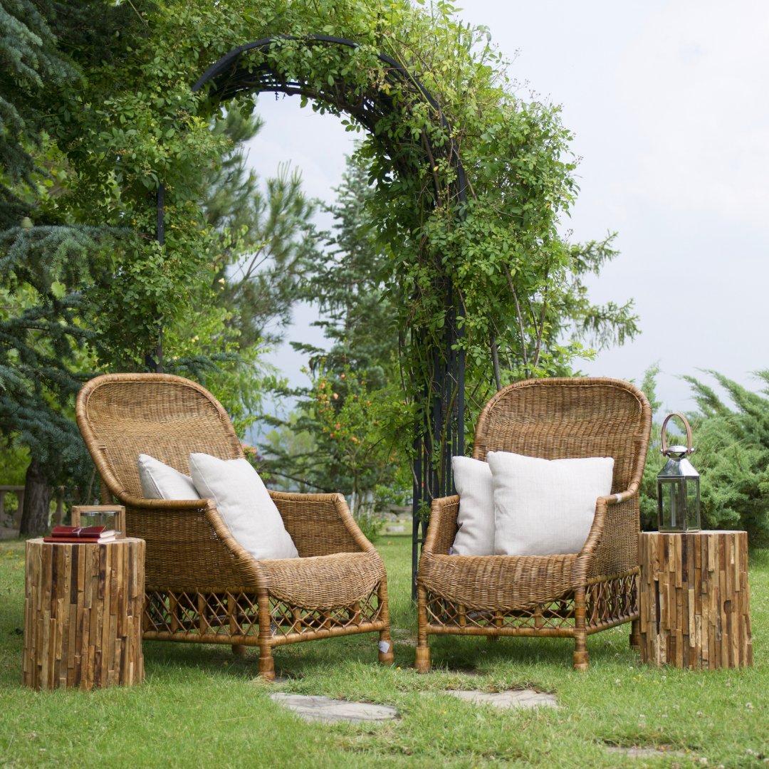 Houston Training Schools tweet media