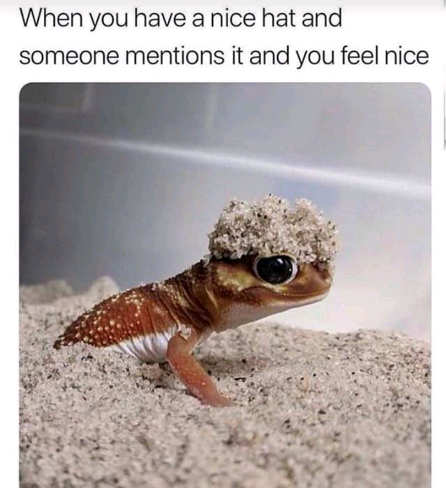 WholesomeMeme's tweet photo. https://t.co/0aLPDbtLpj