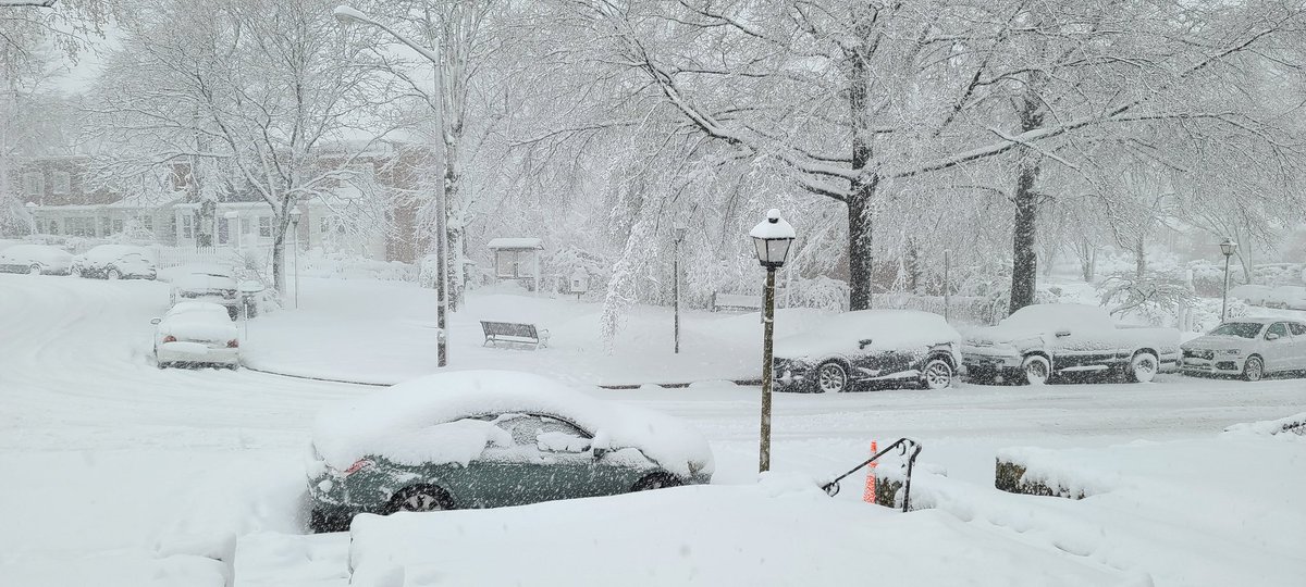 imMiguelRivera's tweet photo. @capitalweather we picked up almost a full inch in the last hour in Alexandria. Close to 9" now. https://t.co/rXBzBtTx0V