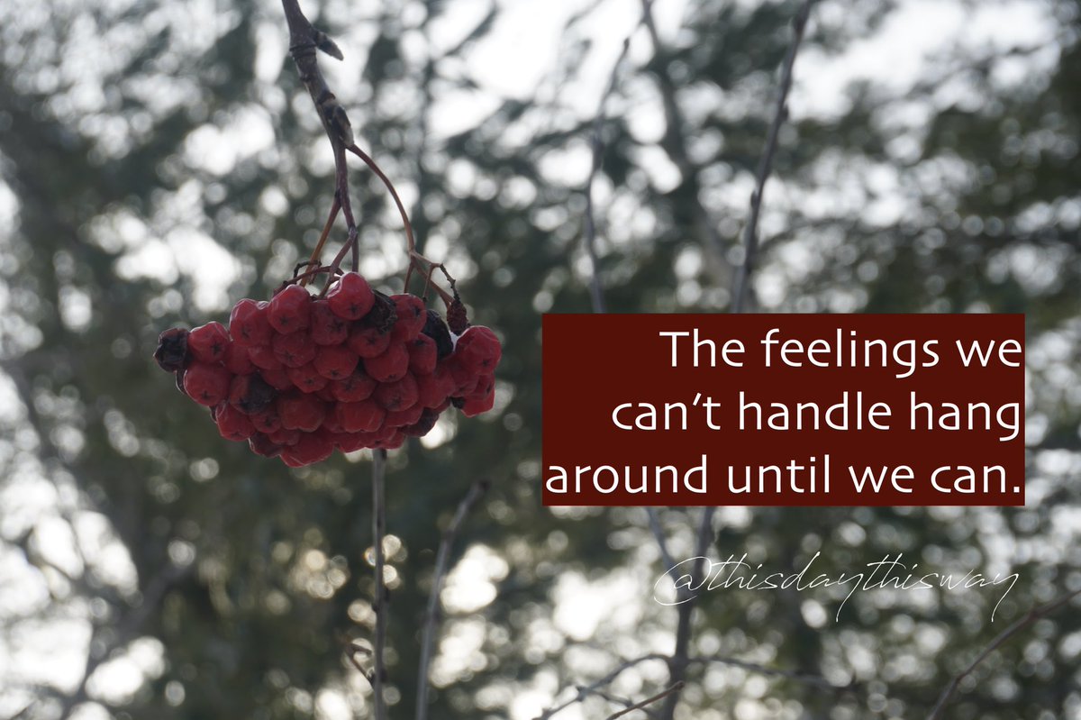 thisdaythisway's tweet photo. #trauma #traumahealing #somatic #somaticprocessing #somatictherapy #emotionalreactivity #somaticexperiencing https://t.co/0iW5Dh3MRq