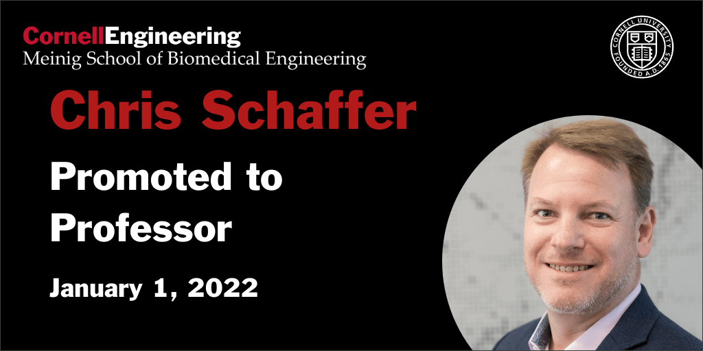 Cornell BME (@cornellbme) on Twitter photo Join us in congratulating <a href="/CornellBME/">Cornell BME</a> <a href="/SN_Lab/">SchafferNishimuraLab</a>'s Chris Schaffer <a href="/chris_schaffer/">Chris B. Schaffer</a>, promoted to Professor as of January 1, 2022! engineering.cornell.edu/faculty-direct⦠Join us in congratulating <a href="/CornellBME/">Cornell BME</a> <a href="/SN_Lab/">SchafferNishimuraLab</a>'s Chris Schaffer <a href="/chris_schaffer/">Chris B. Schaffer</a>, promoted to Professor as of January 1, 2022! engineering.cornell.edu/faculty-directā¦
