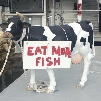 NewlynFishing's tweet photo. “Back in the Business Folks” The Business of Offering the Largest Mix Variety of Fish/Seafood to #UK tables! “BillyRowney” @StevensonNewlyn heads the First 2022 #NewlynMkt Auction with #EagerlyAwaited #FreshCornish Prime Offering! @Cornishfpo @CornwallSeafood #EatMoreFish https://t.co/r5yz6r4Wmt
