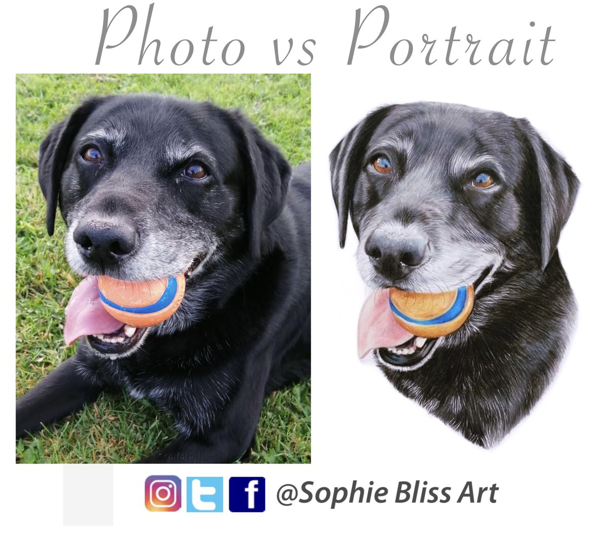 Sophie Bliss tweet media