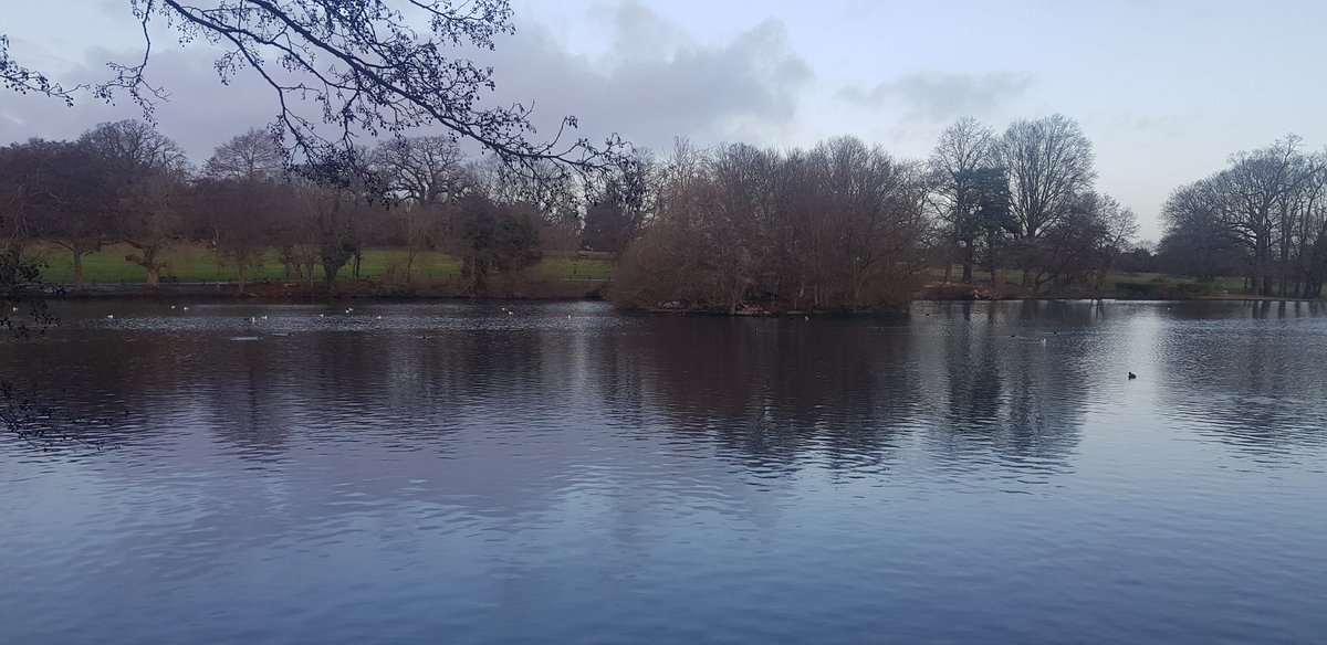 MancunianBirder's tweet photo. Great day in Grovelands Park - 1 drake Hooded Merganser, 1 drake Northern Pochard, 1 drake Shoveler, 6 Mandarin (3 drakes), 35 Tufted Ducks, 2 Egyptian Geese
#London #BirdingLondon #RareEncounters https://t.co/JssRZ85fuj