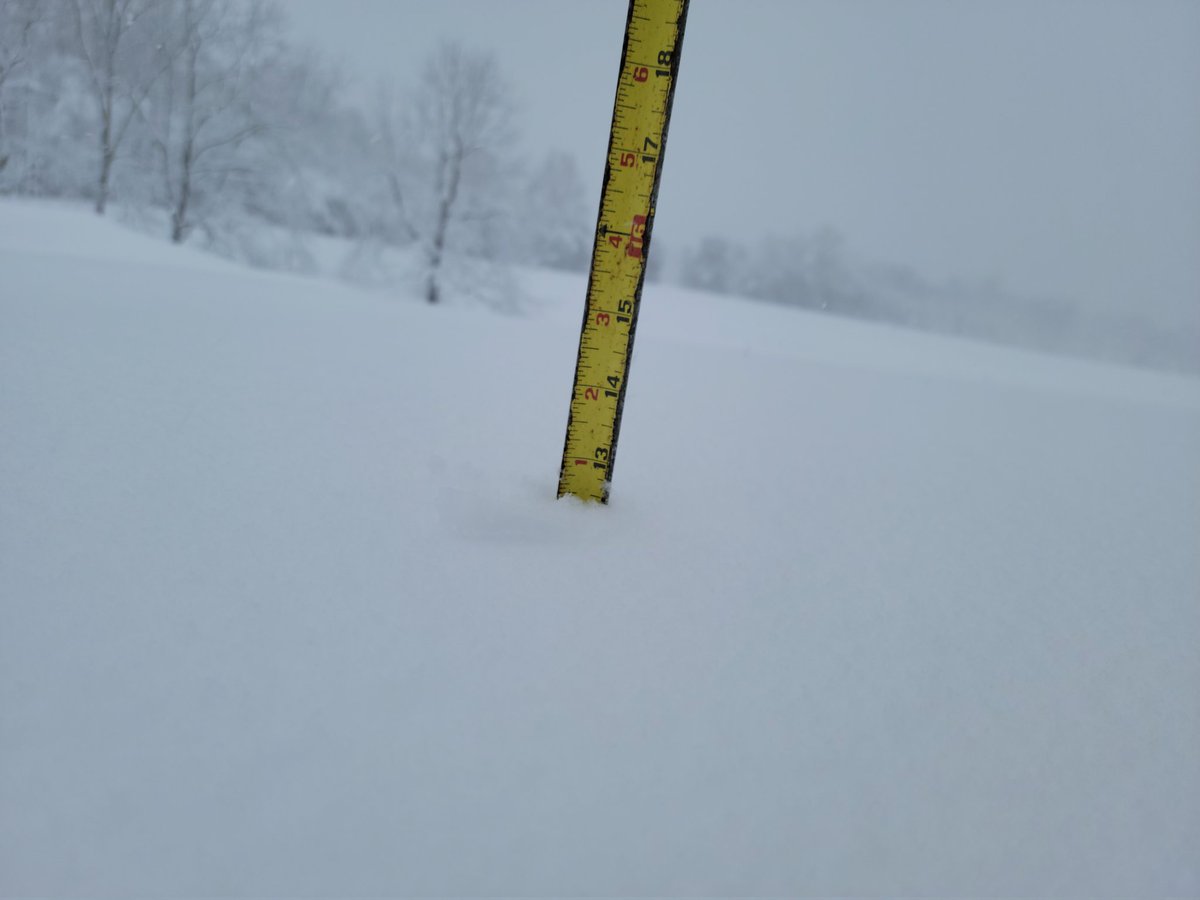 Unionville, VA 12:30p... Measuring 12 to 13" around the yard. <a href="/NWS_BaltWash/">NWS Baltimore-Washington</a> <a href="/NWSWakefieldVA/">NWS Wakefield</a> <a href="/capitalweather/">Capital Weather Gang</a>