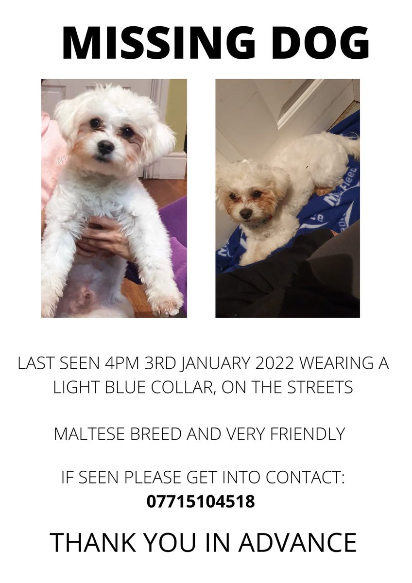 My dog Toto ran out the house today in the Bexleyheath area. Any retweets are appreciated.
