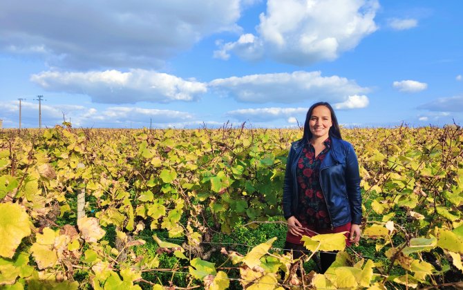 [Enquête] Vignoble de Nantes : après le gel, une éclaircie sur l'horizon
swll.to/dqVgY0i