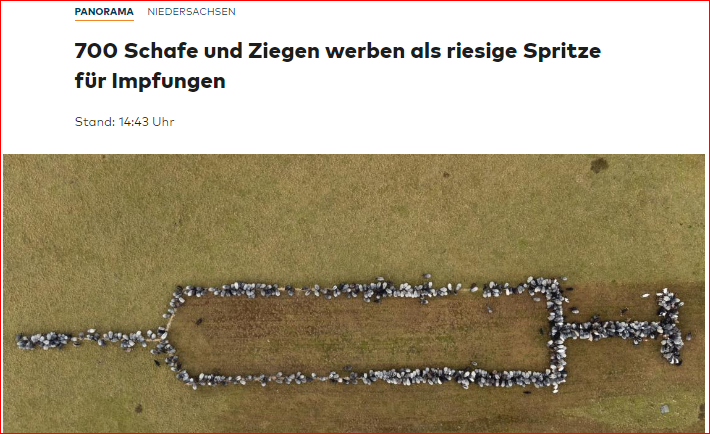 Eddie_1412's tweet photo. Erstes Foto von Gegendemonstranten aufgetaucht. #hro0301 https://t.co/glpJmEFOFP