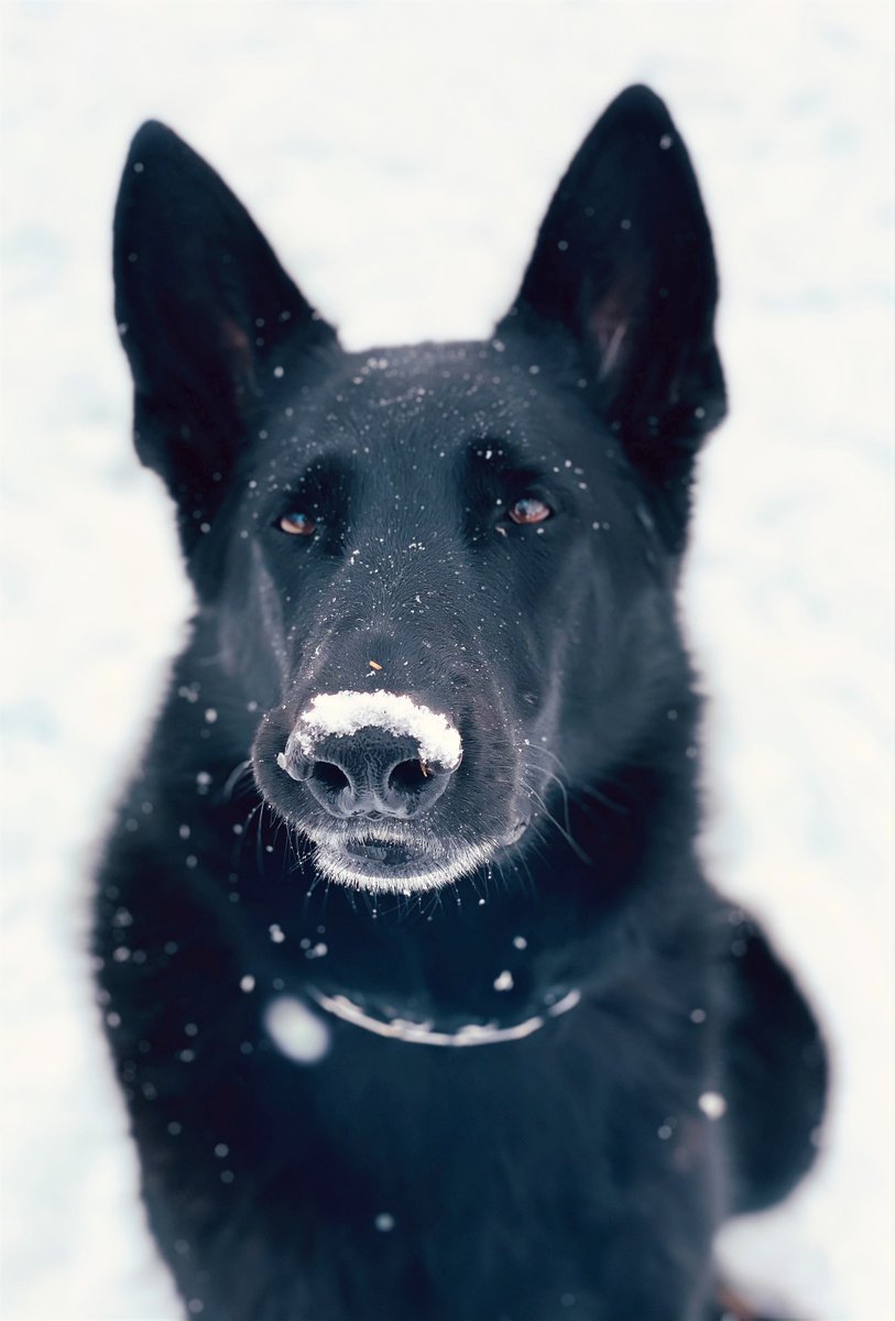 The Bex Co. tweet media