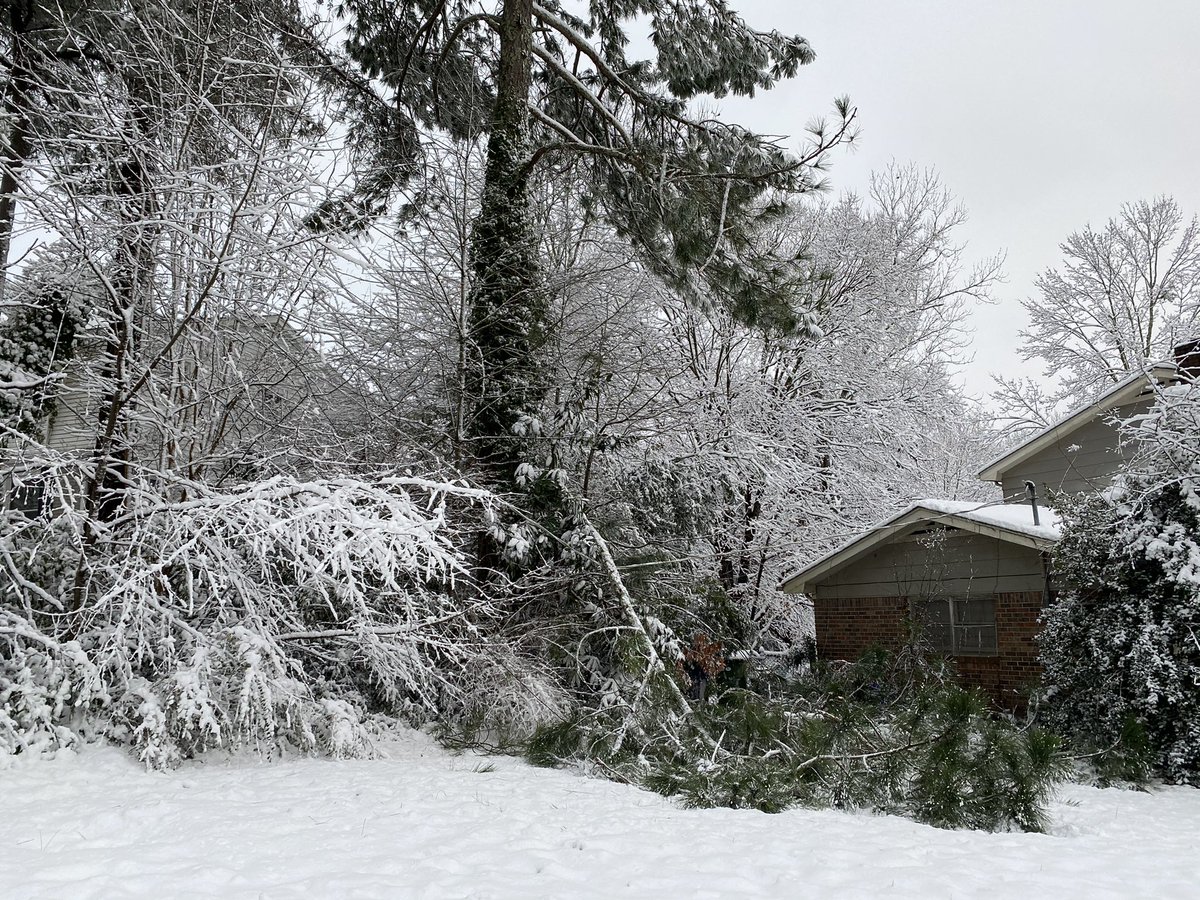 Skurvy's tweet photo. @HSVUtilities We may have a live line down in our yard. Neighbors whose power comes from same pole have power and we do not. Have filled out form on your site and used automated system to flag outage. Is that all we need to do? https://t.co/nFDCES7ZXO