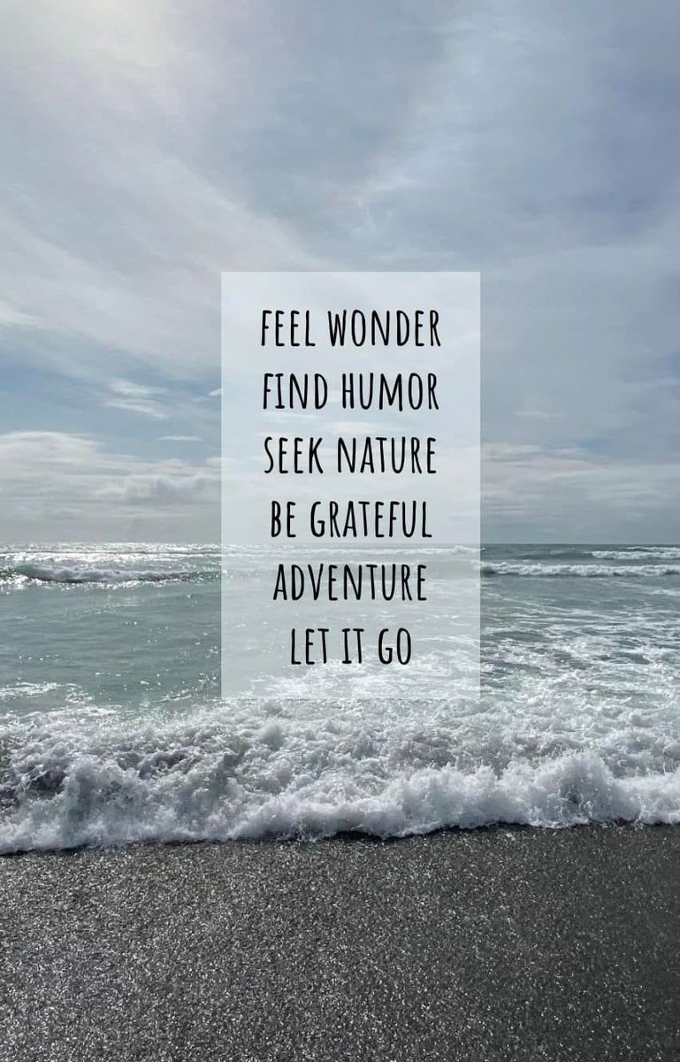 ValleyCat tweet media