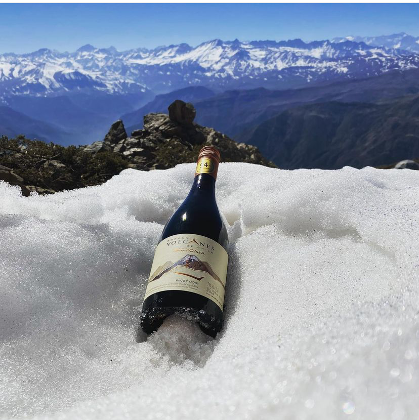ViasWine's tweet photo. Starting Fresh 😎 @volcaneswine https://t.co/dsWuDNWHfy