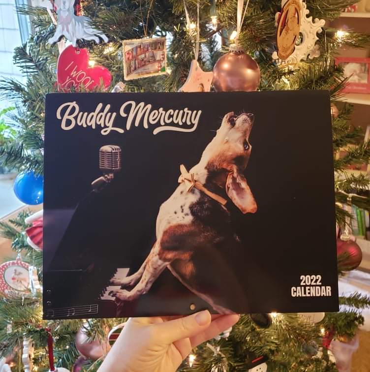 buddymercurydog's tweet image. Do you have your copy yet? AROOO! 🎹🎵🎹🎵🎹🎵🎹🎵
#calendar2022 #Calendar #buddymercury