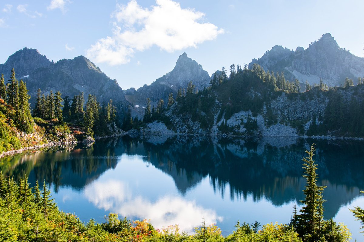 ShonPurdy's tweet image. a tale of four seasons