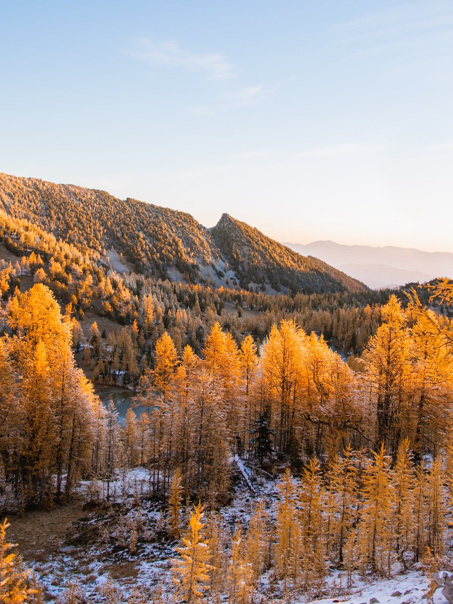 ShonPurdy's tweet image. a tale of four seasons