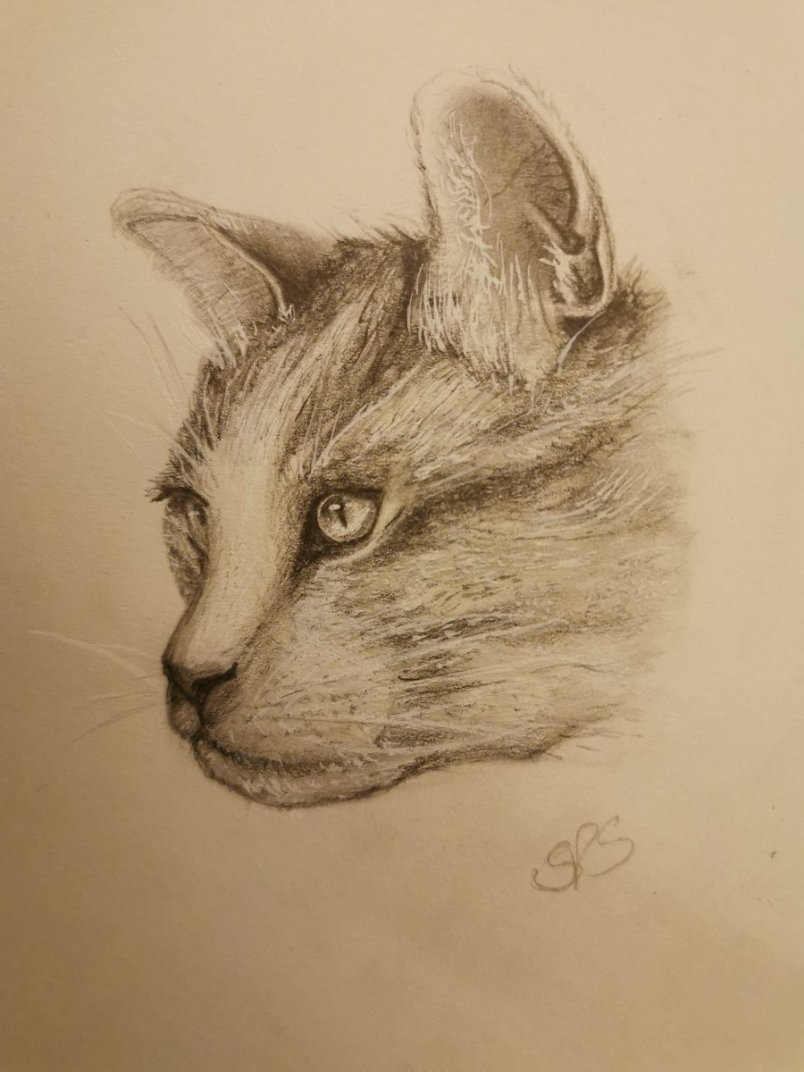 SequoiaP_S's tweet photo. First drawing of 2022 https://t.co/SyEUYnuOcF