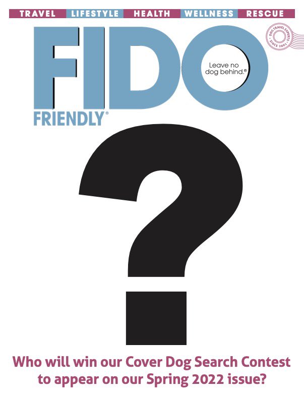 FIDOFriendly's tweet photo. Want to see YOUR Fido on our cover?! New #CoverDog Contest is ON!! See how to ENTER here - https://t.co/0nAi6AE9de - Good Luck! https://t.co/LbP657mUeX