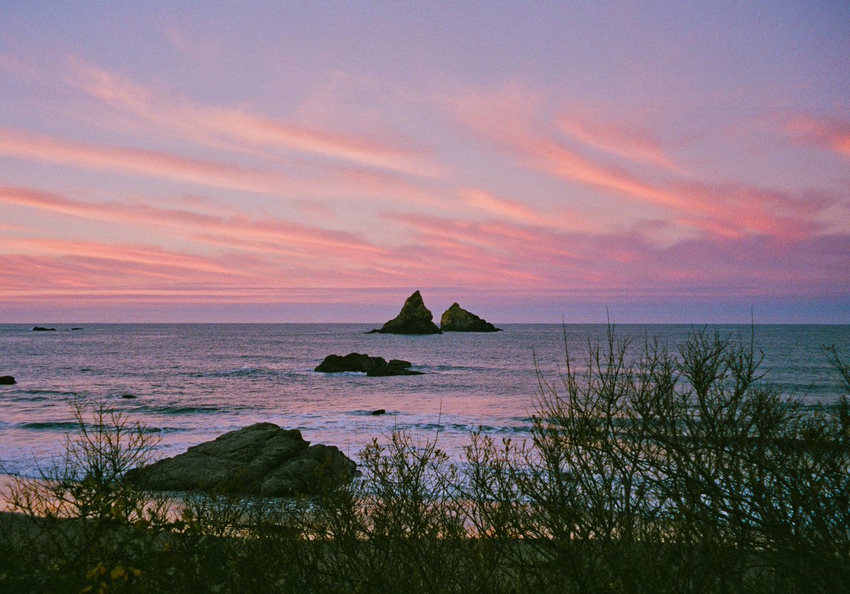 alexxhinson's tweet photo. the oregon coast on film https://t.co/2ej8y4GsXY