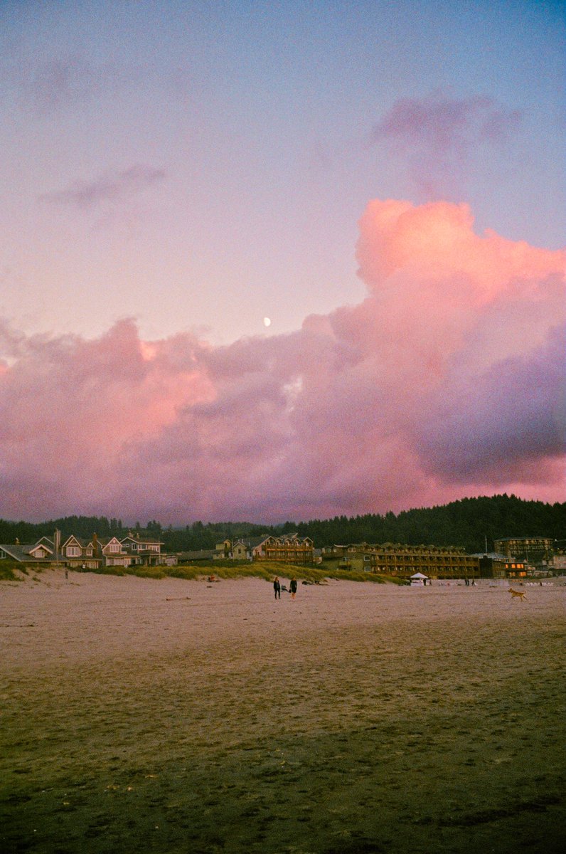 alexxhinson's tweet photo. the oregon coast on film https://t.co/2ej8y4GsXY