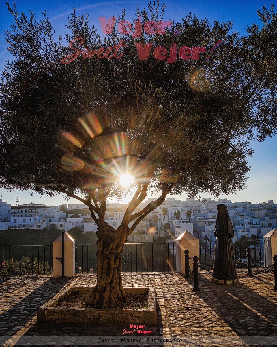 SweetVejer's tweet photo. Atardeceres Navideños‼️@SweetVejer https://t.co/UVMPKwwxPb