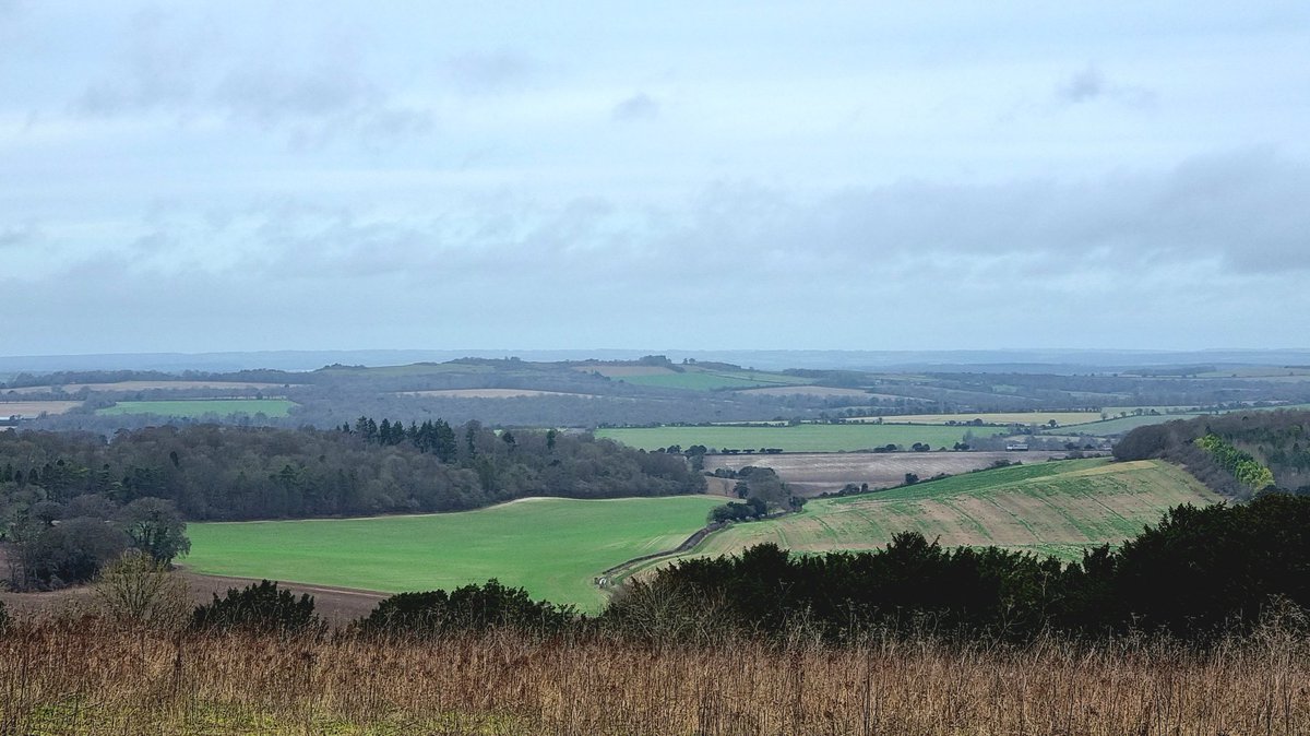 Gilo____'s tweet photo. What an amazing walk around #FarleyMount to end Lady B's Xmas holiday. Great views, very muddy boots. Knackered us both but Ronnie still didn't want to get in the car at the end! 🤦♂️🤷♂️ 💪
My punishment was to cook the Roast Lamb for dinner.
#whichwasnice https://t.co/8Sr7wiWXNZ