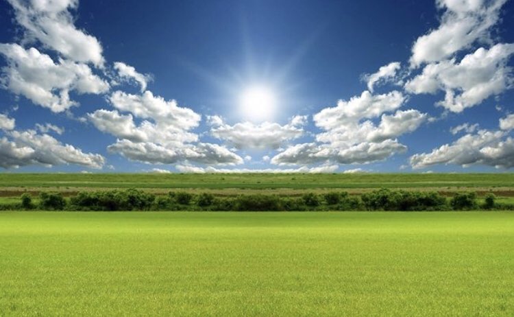 ما رَوضَةٌ مِن رِياضِ الحَزنِ مُعْشبَةٌ
خَضراءُ جادَ عَلَيها مُسبِلٌ هَطِلُ

يُضاحِكُ الشَّمْس مِنْهَا كَوكَبٌ شَرِقٌ
مُـؤَزَّرٌ بِـعَـمِـيـمِ النَّـبْـتِ مُكتَهِلُ

- الأعشى