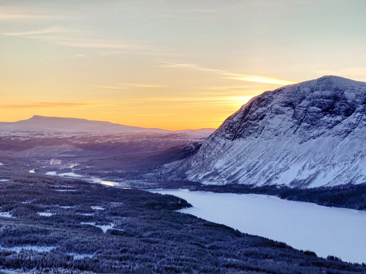 The Remote Lab tweet media