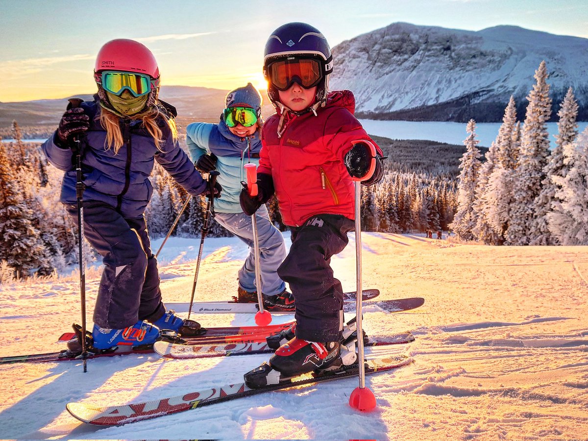 The Remote Lab tweet media