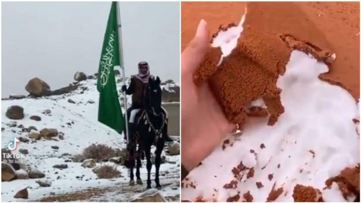 France24_fr's tweet photo. Arabie saoudite : d'étonnantes images du désert sous la neige https://t.co/C6LqNXuKjk https://t.co/HufEzBvxep