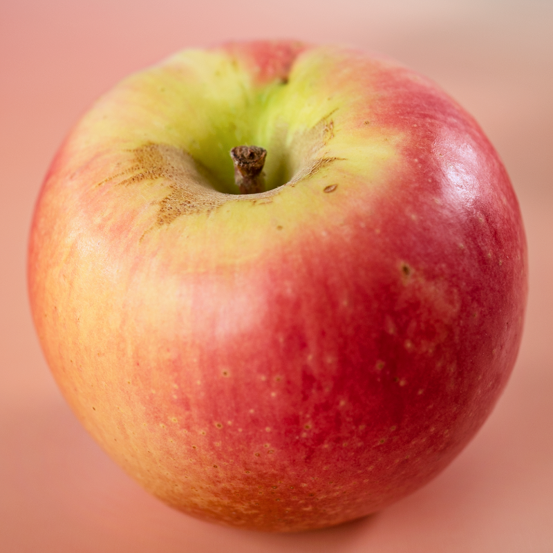 SpecialtyProd's tweet photo. DID YOU KNOW Pink Lady Apples have rigorous quality standards in order to be sold under the Pink Lady name. Apples that don't meet these standards are sold as Cripps Pink. #specialtyproduce #pinkladyapples