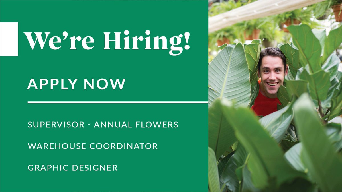 Looking for a new career to ring in the new year? We #hiring for 3 full-time positions right now!

Interested in other positions? We'll be sharing info later this month about seasonal greenhouse positions from production to retail.

heeman.ca/about-us/work-…

#LDNOnt